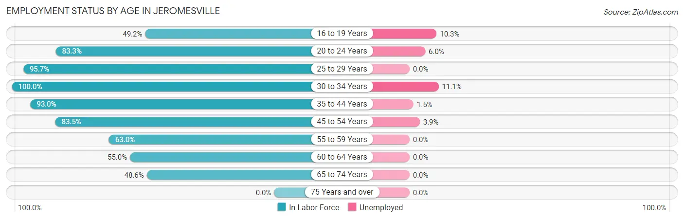 Employment Status by Age in Jeromesville