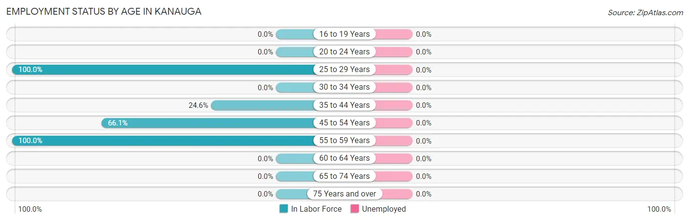 Employment Status by Age in Kanauga