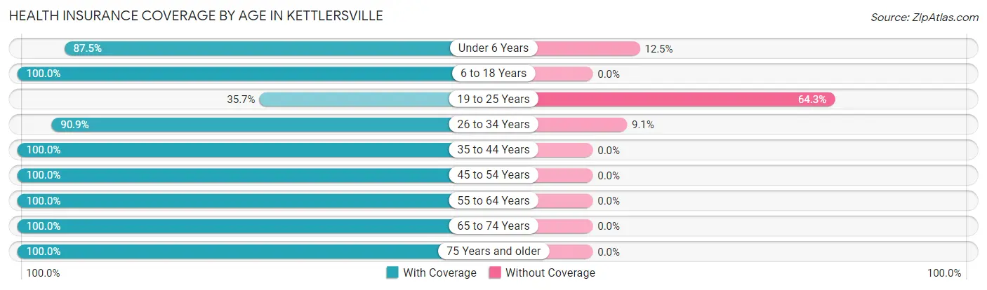 Health Insurance Coverage by Age in Kettlersville
