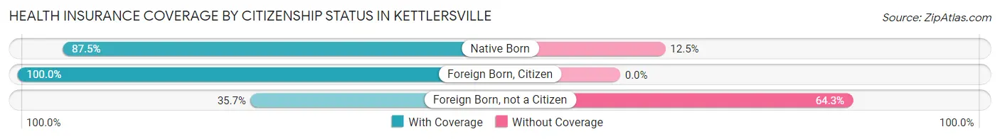 Health Insurance Coverage by Citizenship Status in Kettlersville