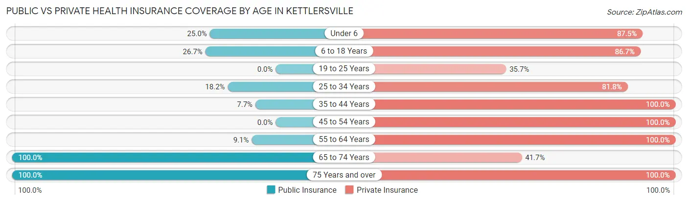 Public vs Private Health Insurance Coverage by Age in Kettlersville