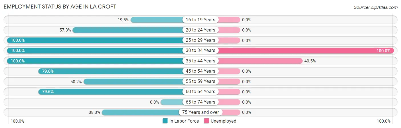 Employment Status by Age in La Croft