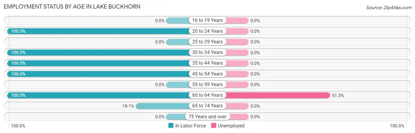 Employment Status by Age in Lake Buckhorn