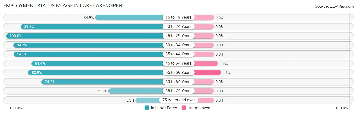 Employment Status by Age in Lake Lakengren