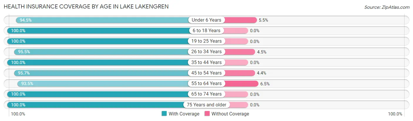 Health Insurance Coverage by Age in Lake Lakengren