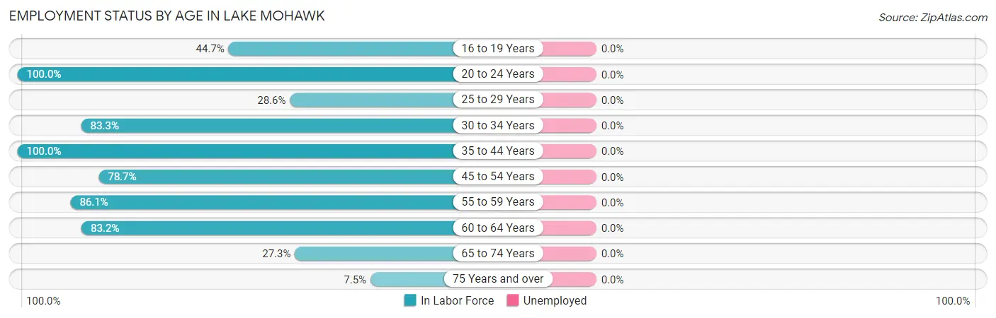 Employment Status by Age in Lake Mohawk