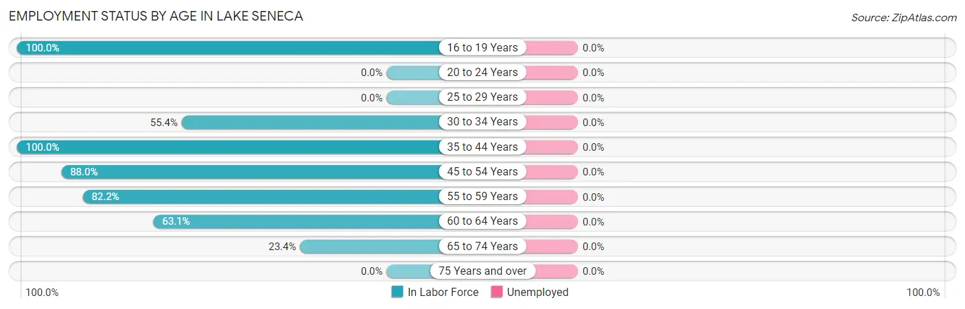 Employment Status by Age in Lake Seneca