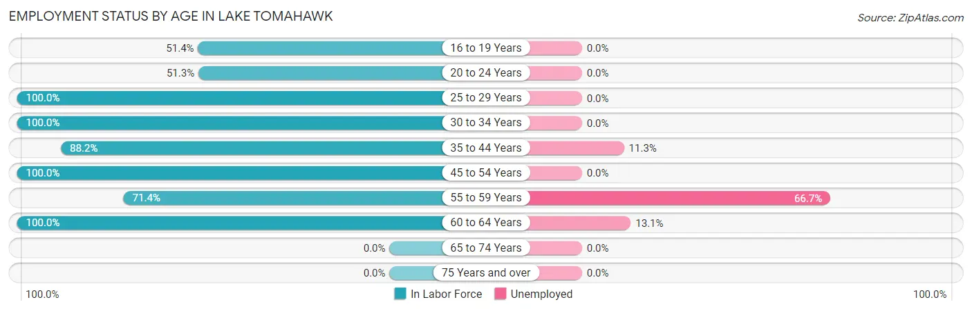 Employment Status by Age in Lake Tomahawk