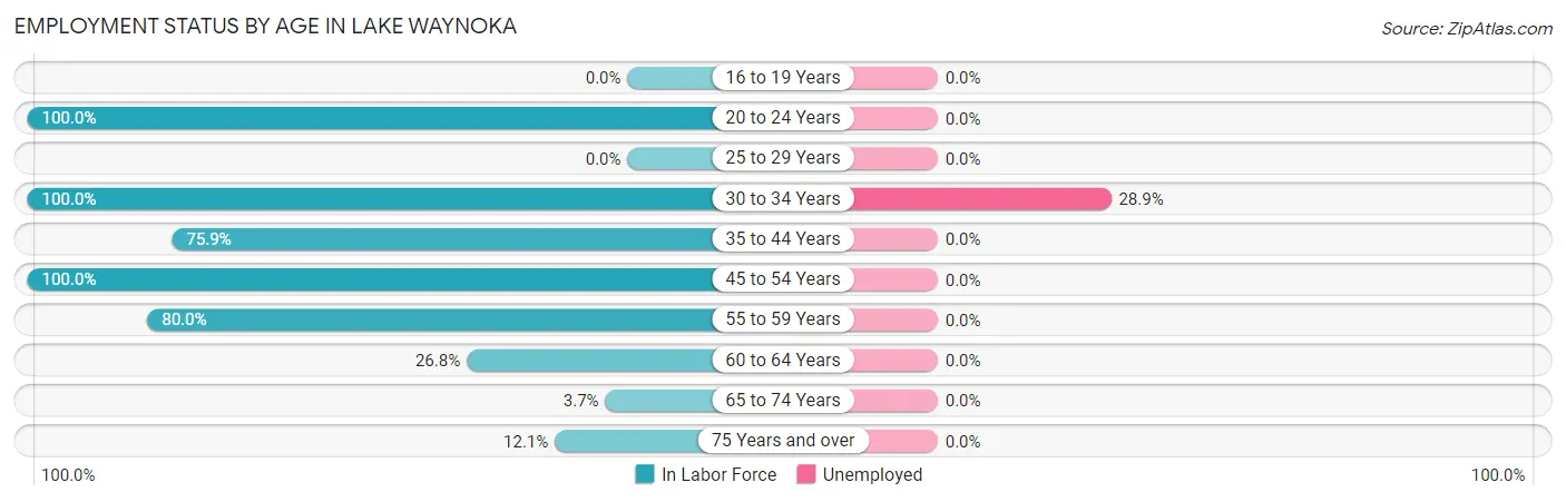 Employment Status by Age in Lake Waynoka