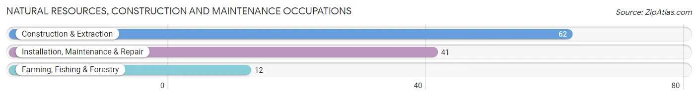 Natural Resources, Construction and Maintenance Occupations in Lithopolis