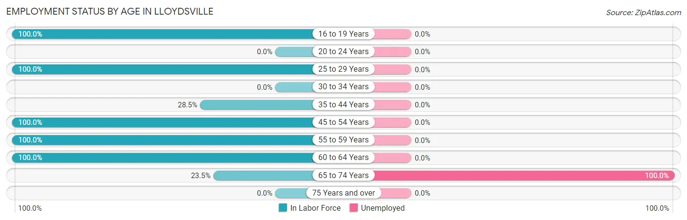 Employment Status by Age in Lloydsville
