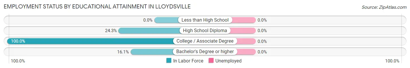 Employment Status by Educational Attainment in Lloydsville