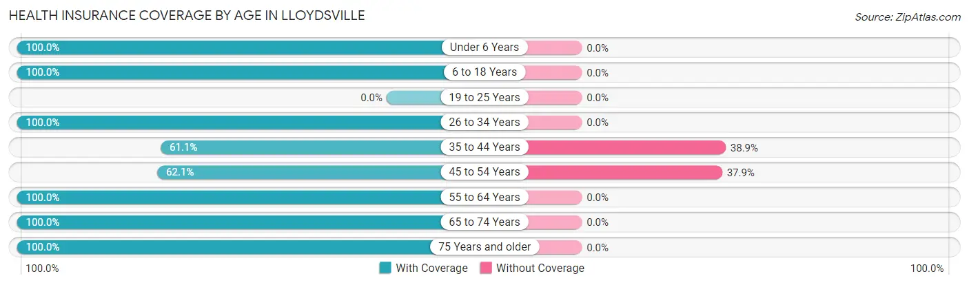 Health Insurance Coverage by Age in Lloydsville