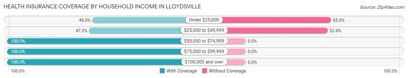 Health Insurance Coverage by Household Income in Lloydsville