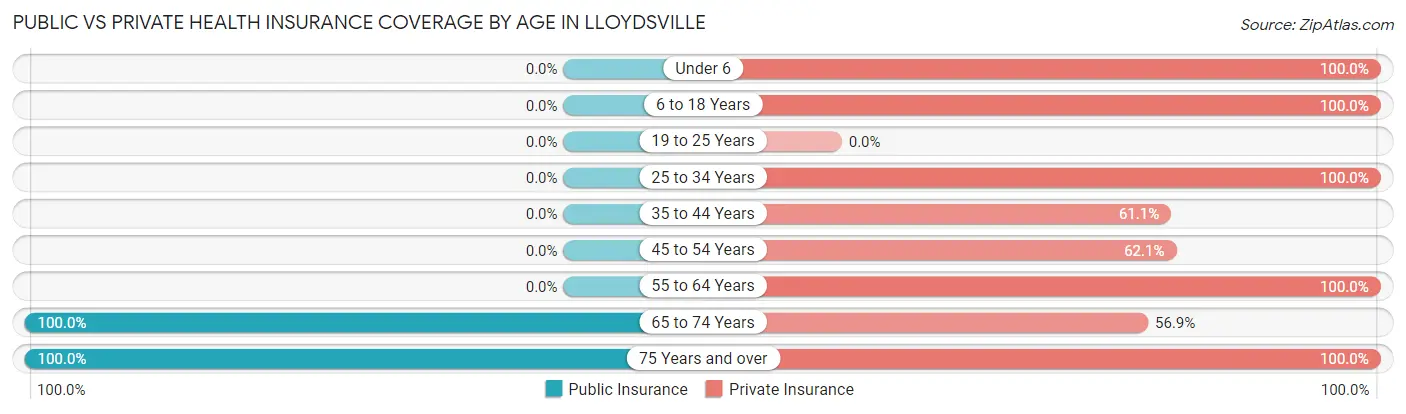 Public vs Private Health Insurance Coverage by Age in Lloydsville