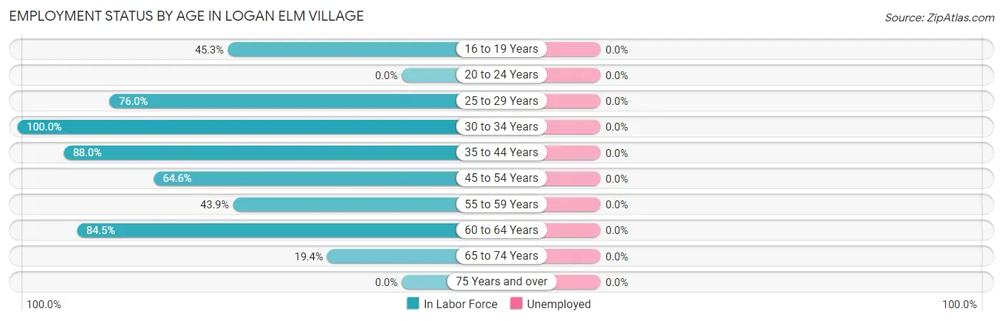 Employment Status by Age in Logan Elm Village