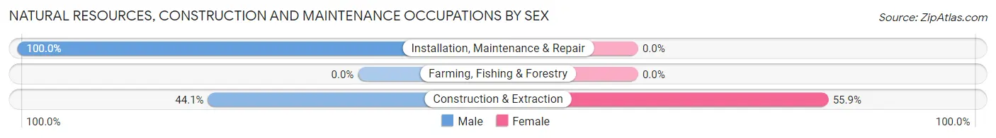 Natural Resources, Construction and Maintenance Occupations by Sex in Logan Elm Village
