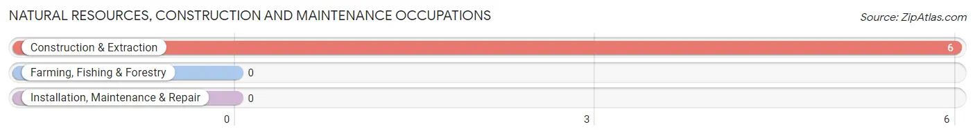 Natural Resources, Construction and Maintenance Occupations in Lower Salem