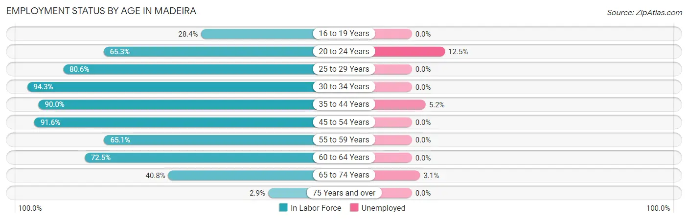 Employment Status by Age in Madeira