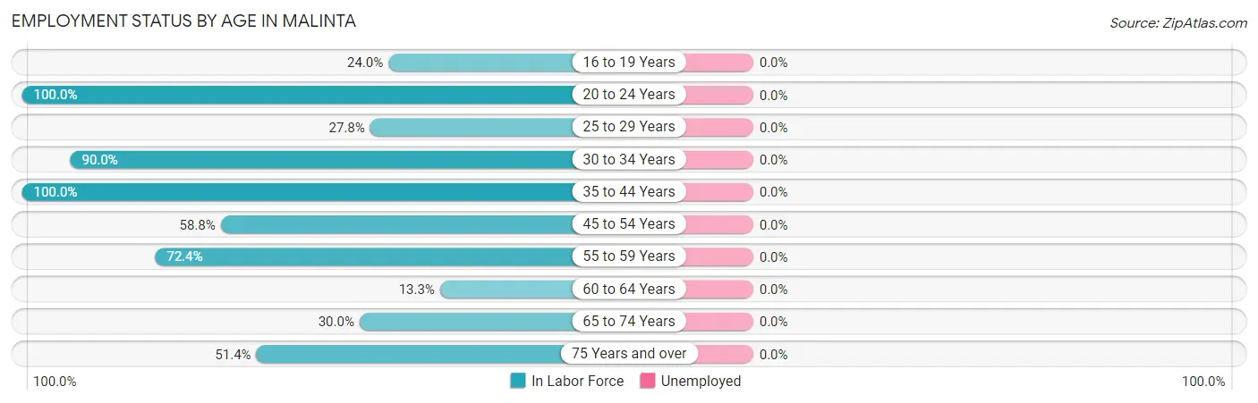 Employment Status by Age in Malinta