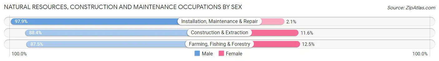 Natural Resources, Construction and Maintenance Occupations by Sex in Mansfield