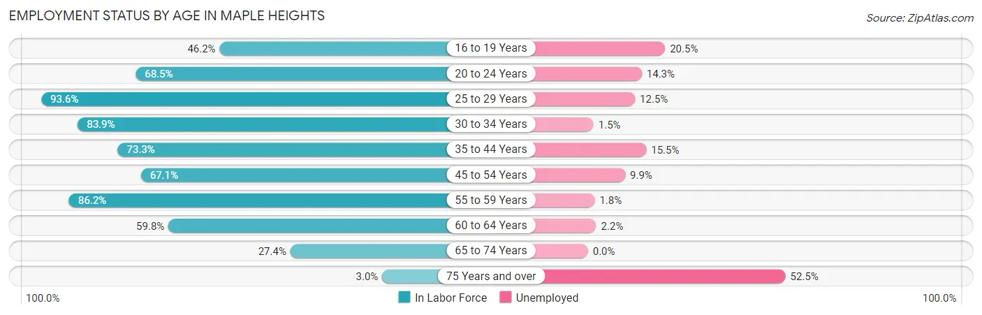 Employment Status by Age in Maple Heights