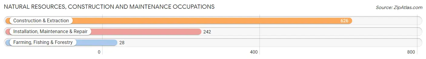 Natural Resources, Construction and Maintenance Occupations in Marion