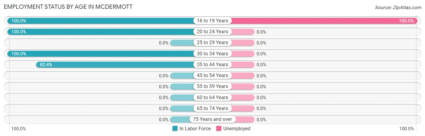 Employment Status by Age in McDermott