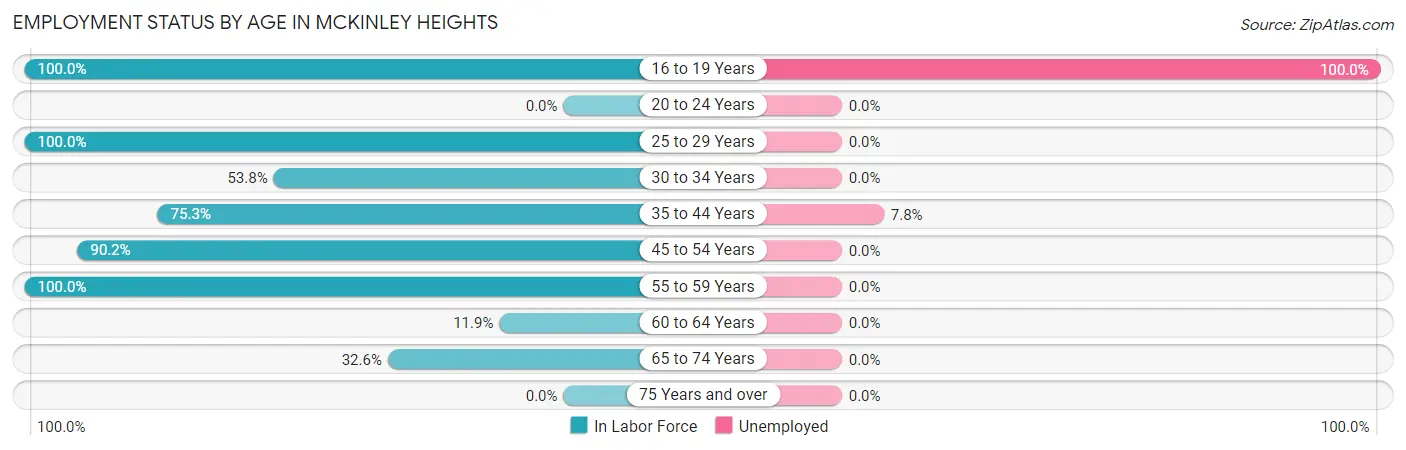Employment Status by Age in McKinley Heights