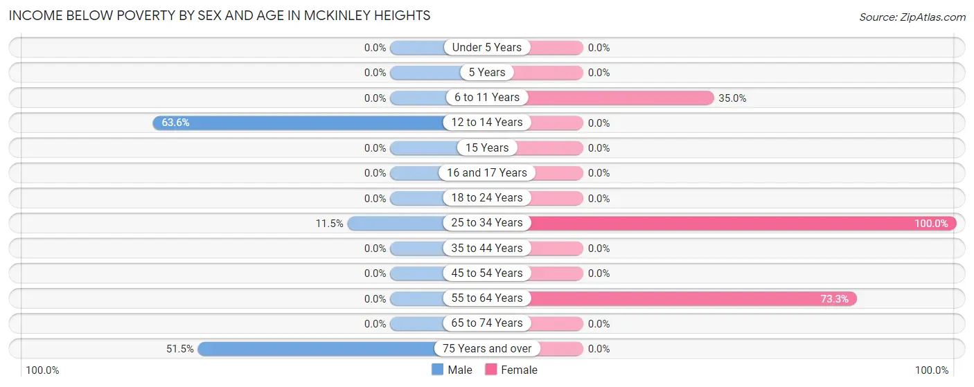 Income Below Poverty by Sex and Age in McKinley Heights