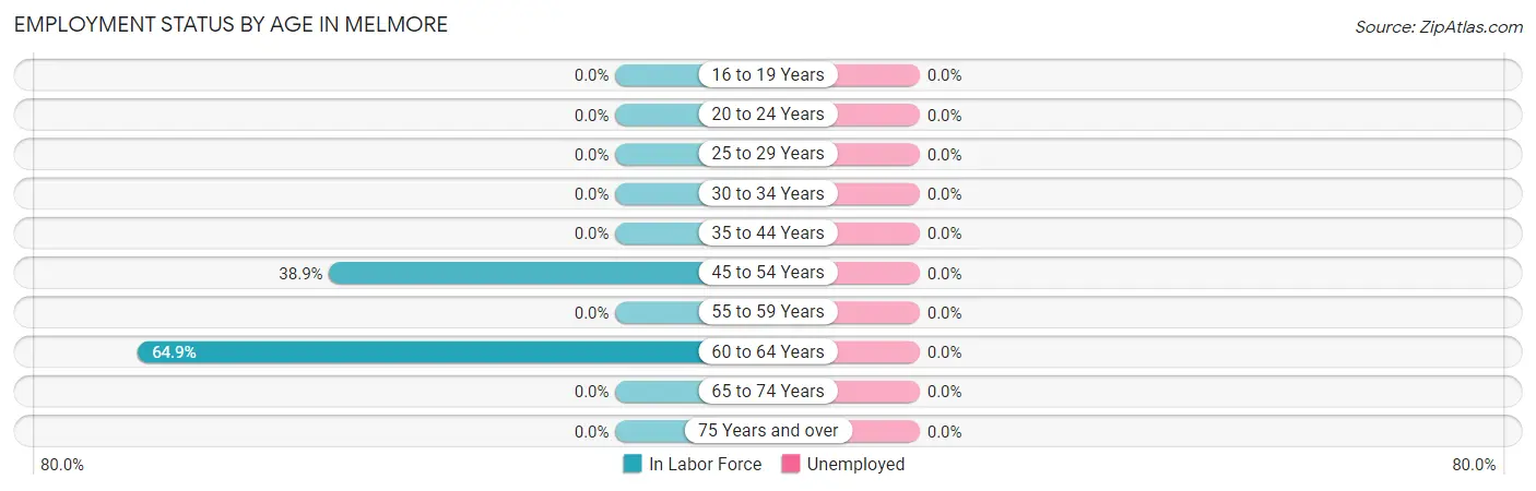 Employment Status by Age in Melmore
