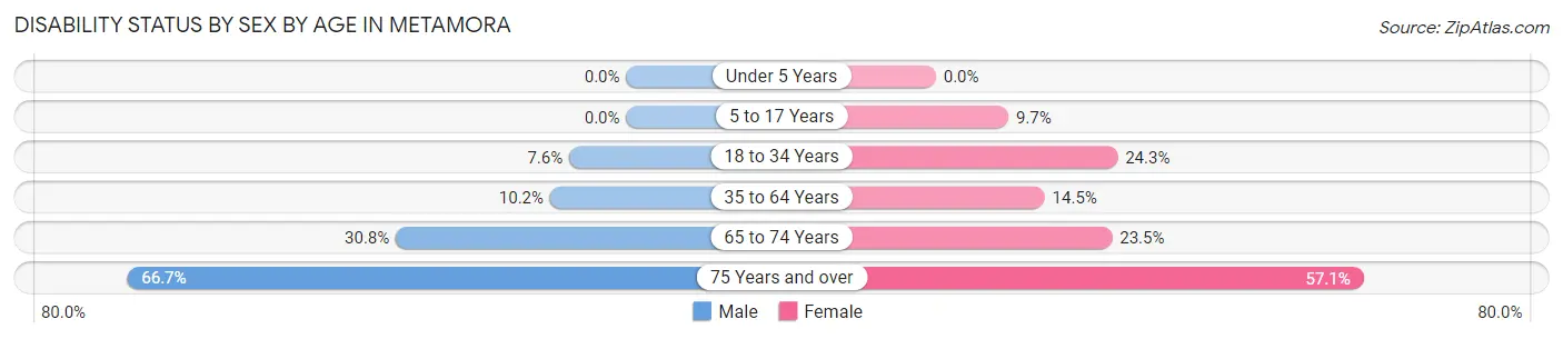 Disability Status by Sex by Age in Metamora