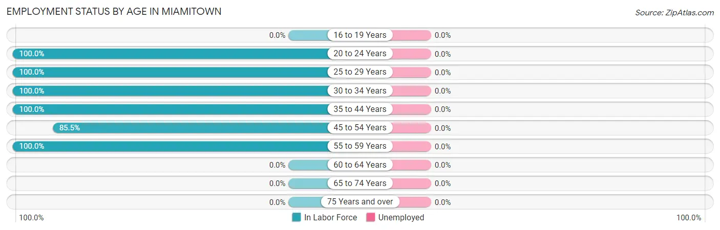 Employment Status by Age in Miamitown