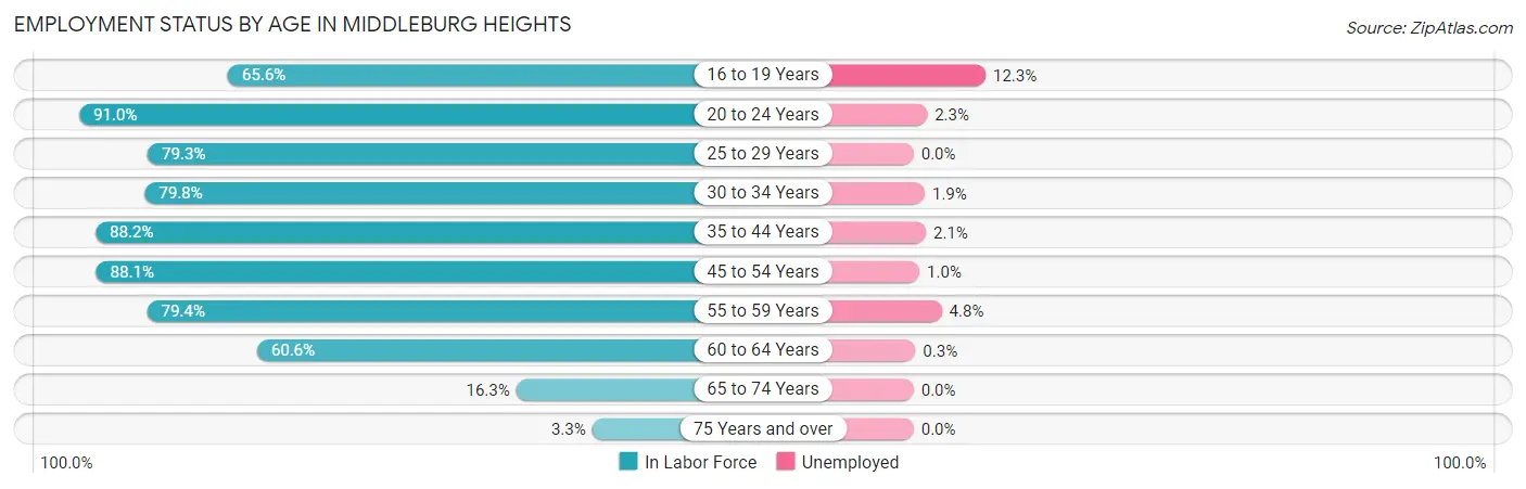 Employment Status by Age in Middleburg Heights