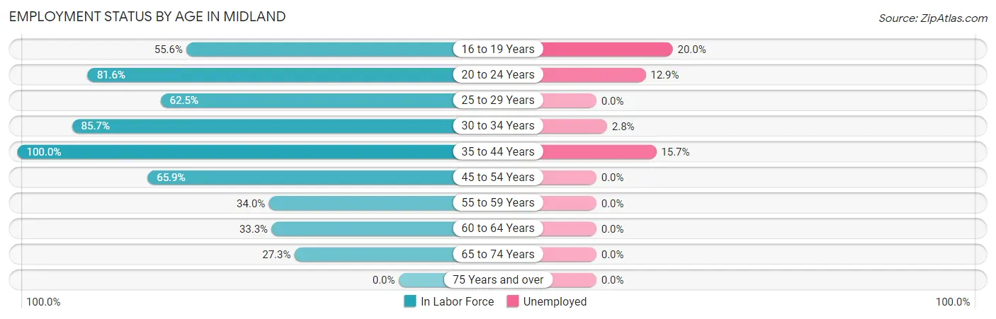 Employment Status by Age in Midland