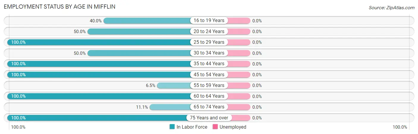 Employment Status by Age in Mifflin