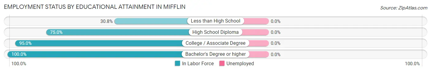 Employment Status by Educational Attainment in Mifflin