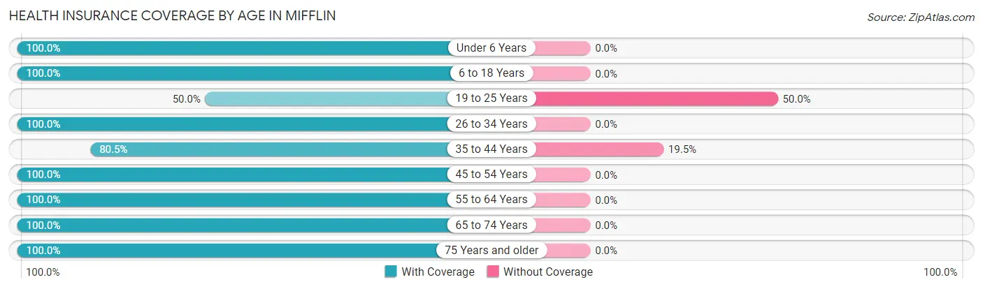 Health Insurance Coverage by Age in Mifflin