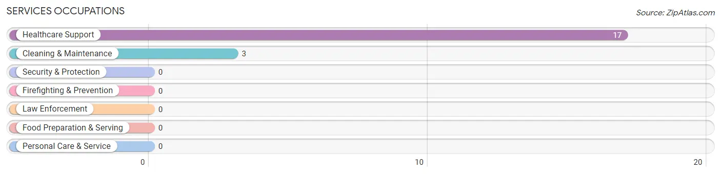 Services Occupations in Miller