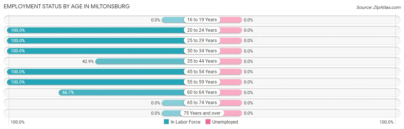 Employment Status by Age in Miltonsburg