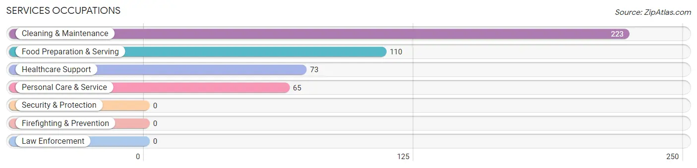 Services Occupations in Mineral Ridge