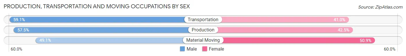 Production, Transportation and Moving Occupations by Sex in Minerva