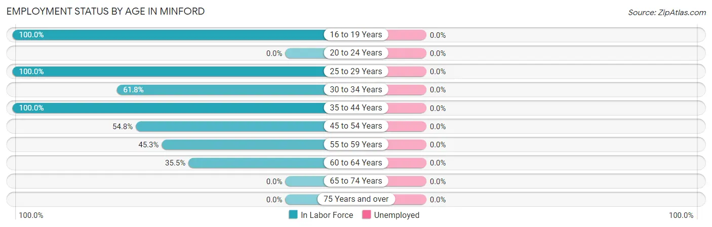 Employment Status by Age in Minford