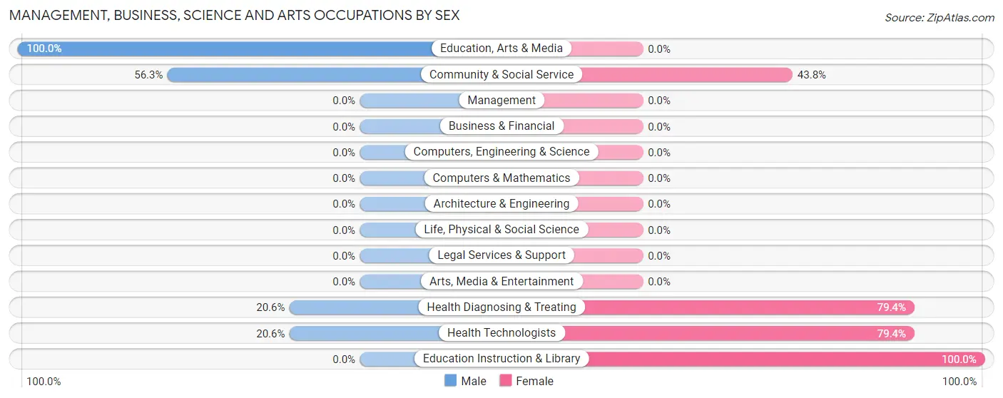 Management, Business, Science and Arts Occupations by Sex in Minford