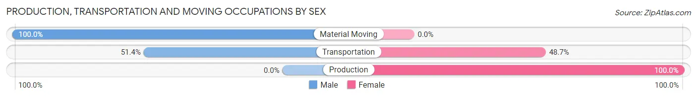 Production, Transportation and Moving Occupations by Sex in Montrose Ghent