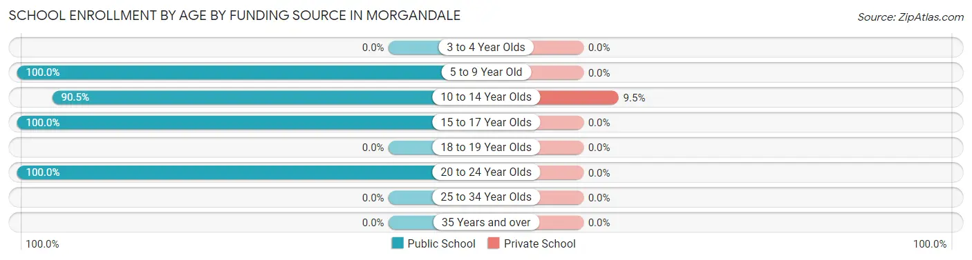 School Enrollment by Age by Funding Source in Morgandale