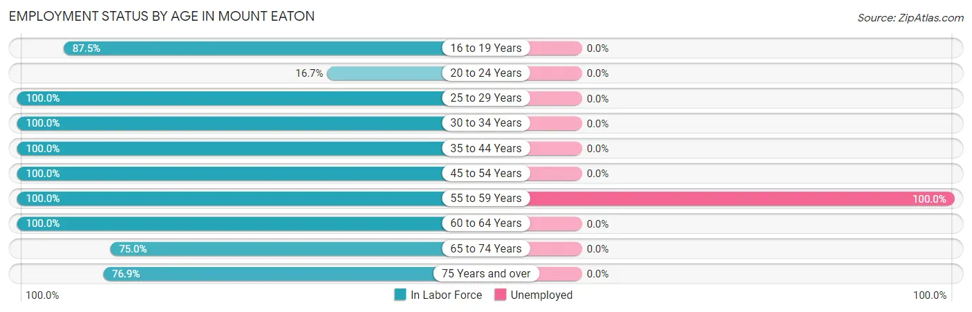 Employment Status by Age in Mount Eaton
