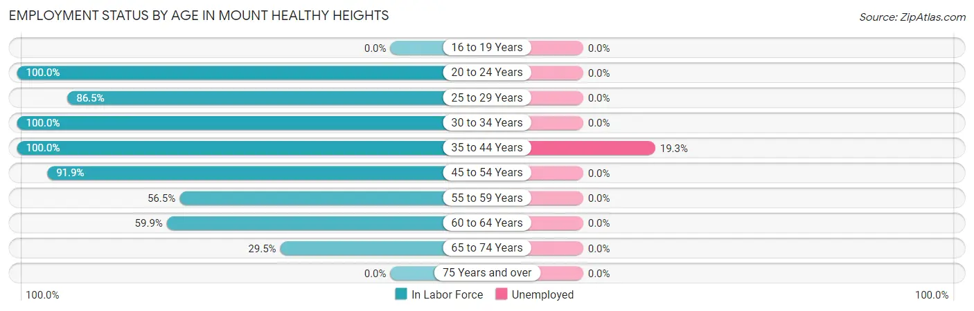 Employment Status by Age in Mount Healthy Heights