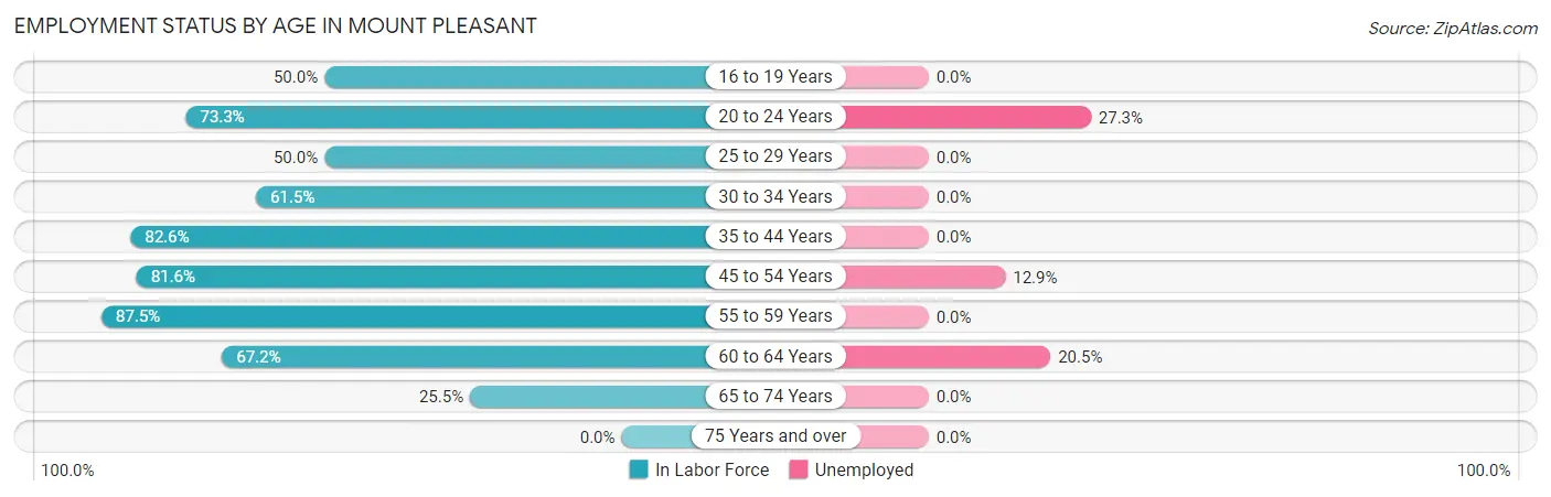 Employment Status by Age in Mount Pleasant