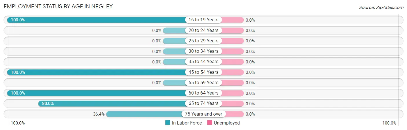 Employment Status by Age in Negley
